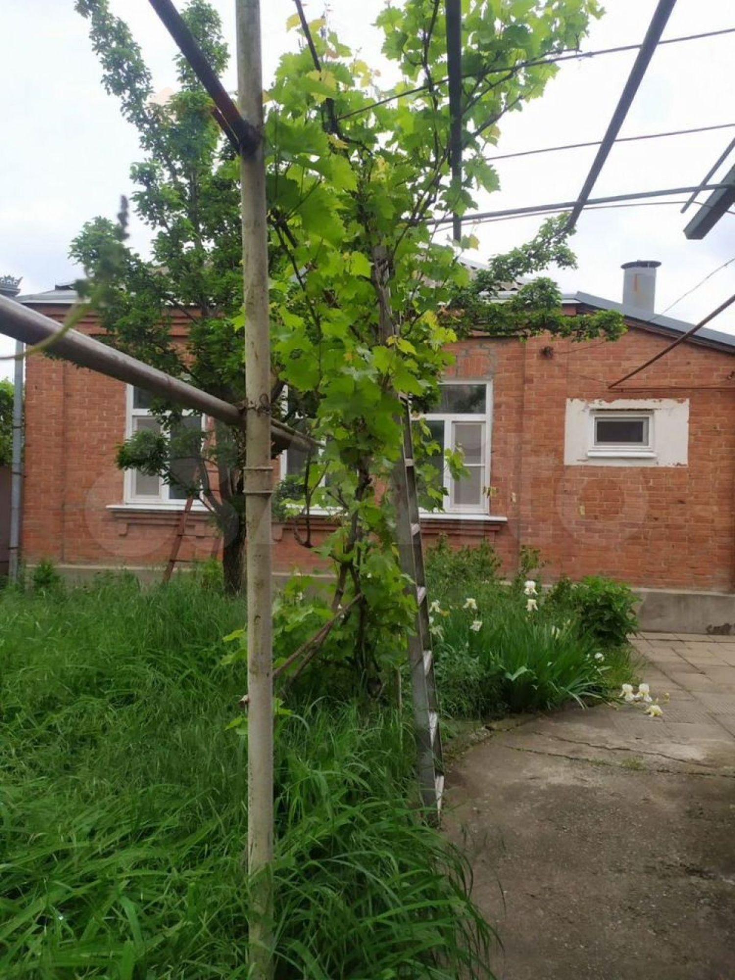 Купить дачу, дом, коттедж за 10 600 000 рублей на 1-й пер Димитрова, 7