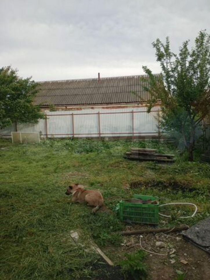 Коттедж/дом Красная ул, 8