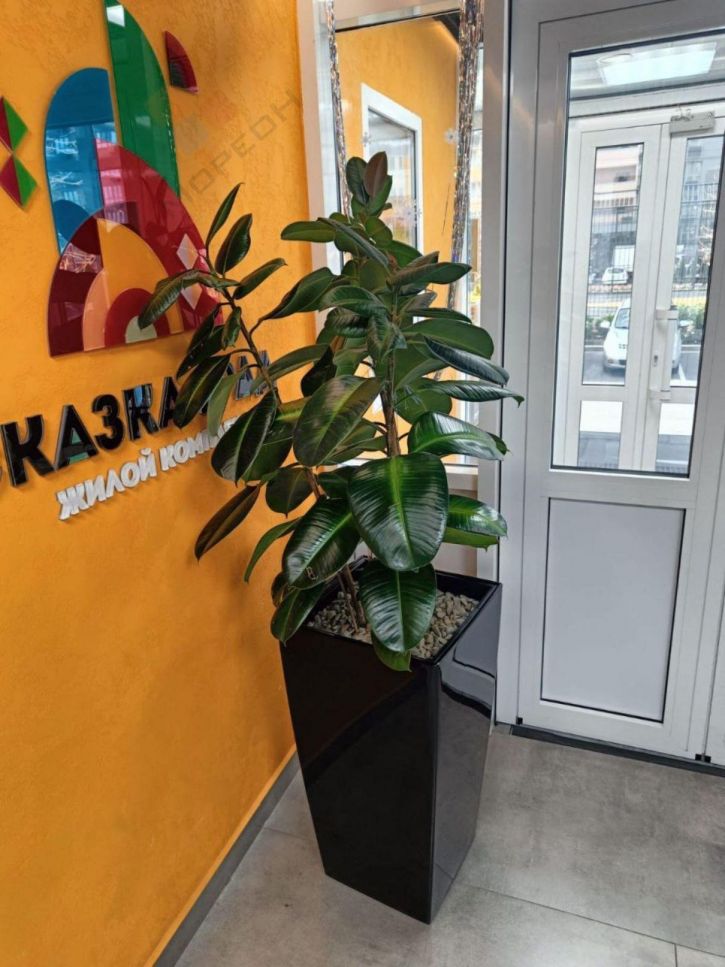 1-комн квартира им. Мачуги В.Н. ул, 166к1