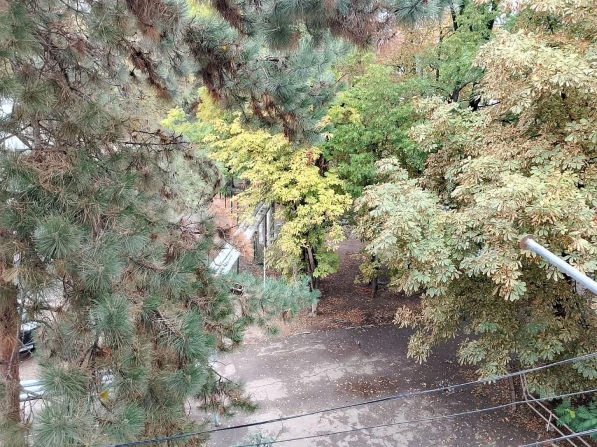 Купить квартиру за 3 000 000 рублей на Благоева ул, 8