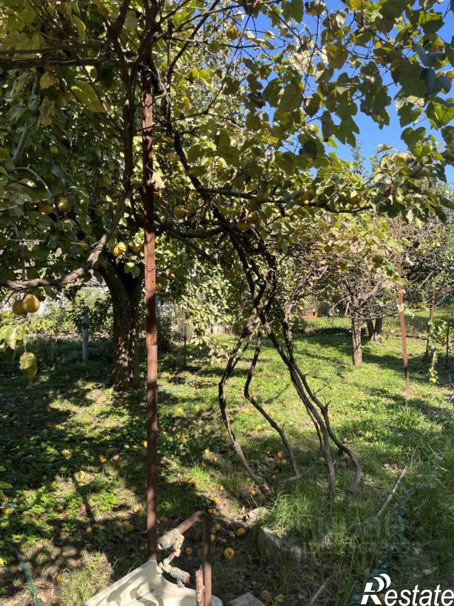 Купить дачу, дом, коттедж за 5 900 000 рублей на ул Клубничная, 5