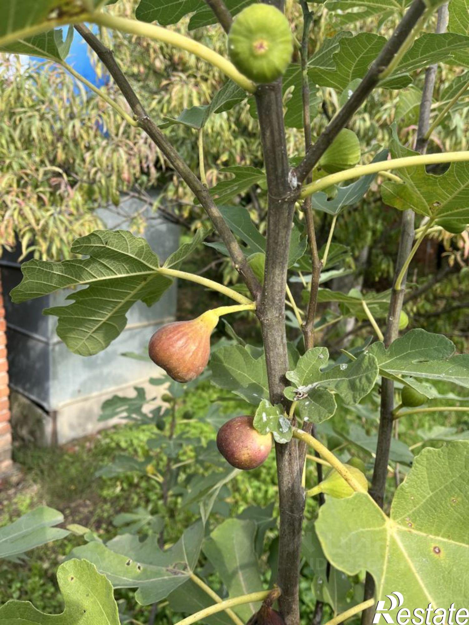 Купить дачу, дом, коттедж за 5 900 000 рублей на ул Клубничная, 5