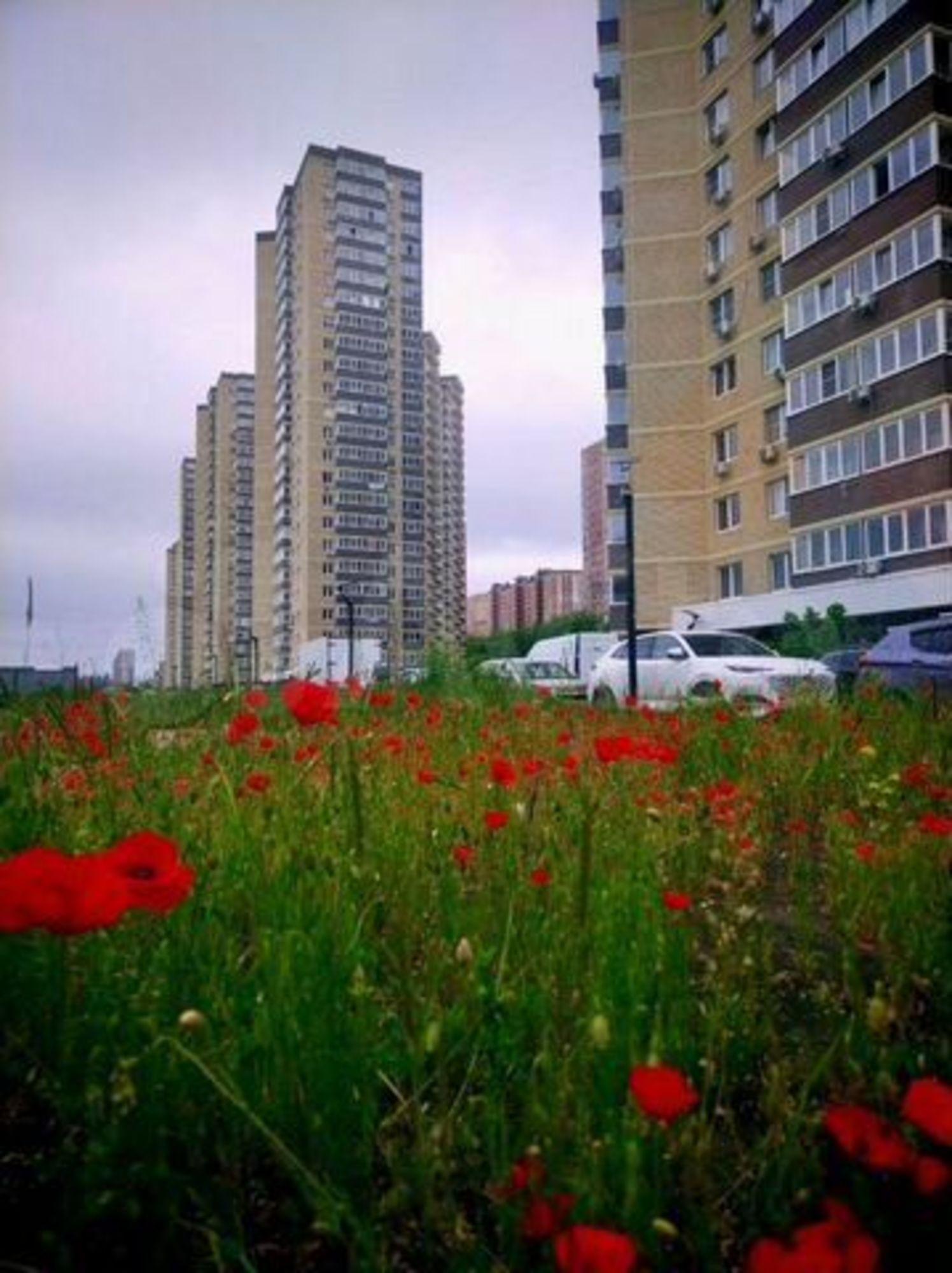 Купить квартиру за 6 300 000 рублей на Домбайская ул, 55/ к5