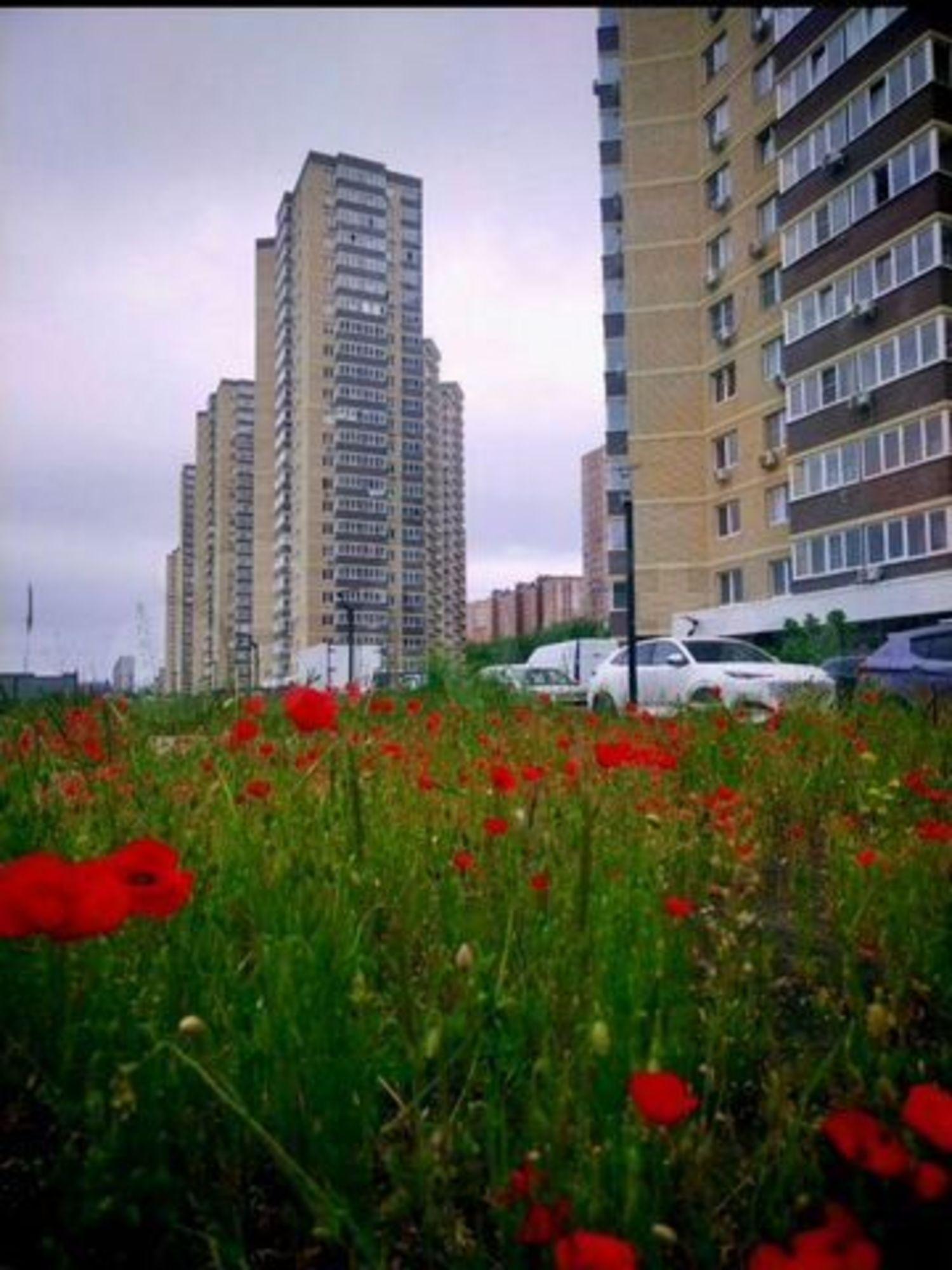 Купить квартиру за 6 300 000 рублей на Домбайская ул, 55/ к5