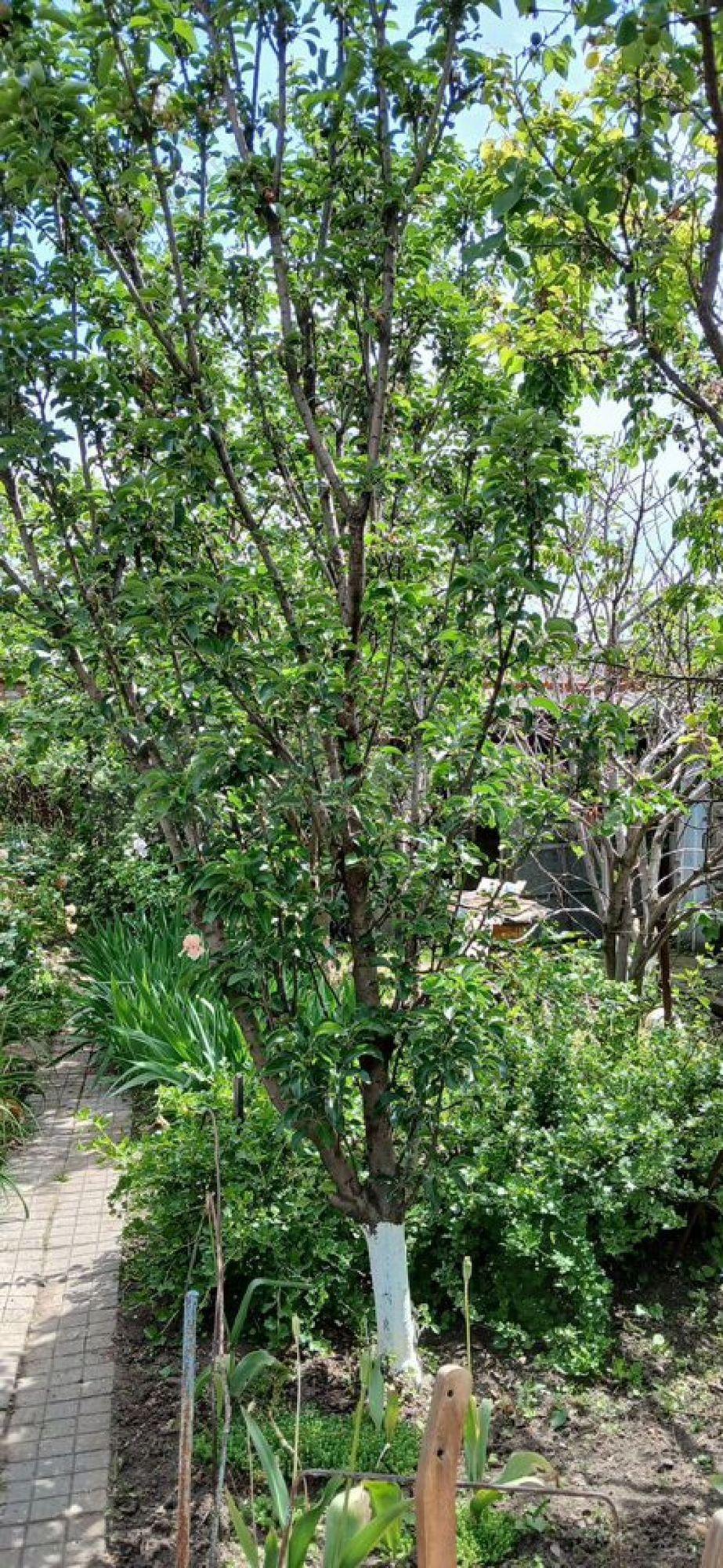 Купить дачу, дом, коттедж за 11 000 000 рублей на Фурманова пр-д, 37