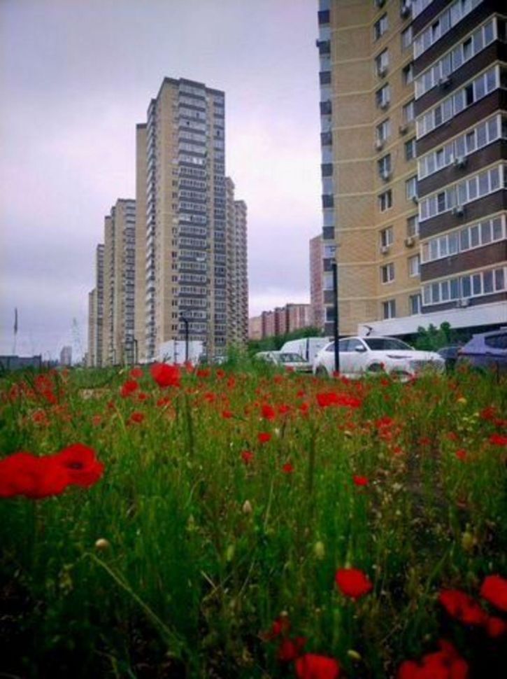 2-комн квартира Домбайская ул, 55/ к5