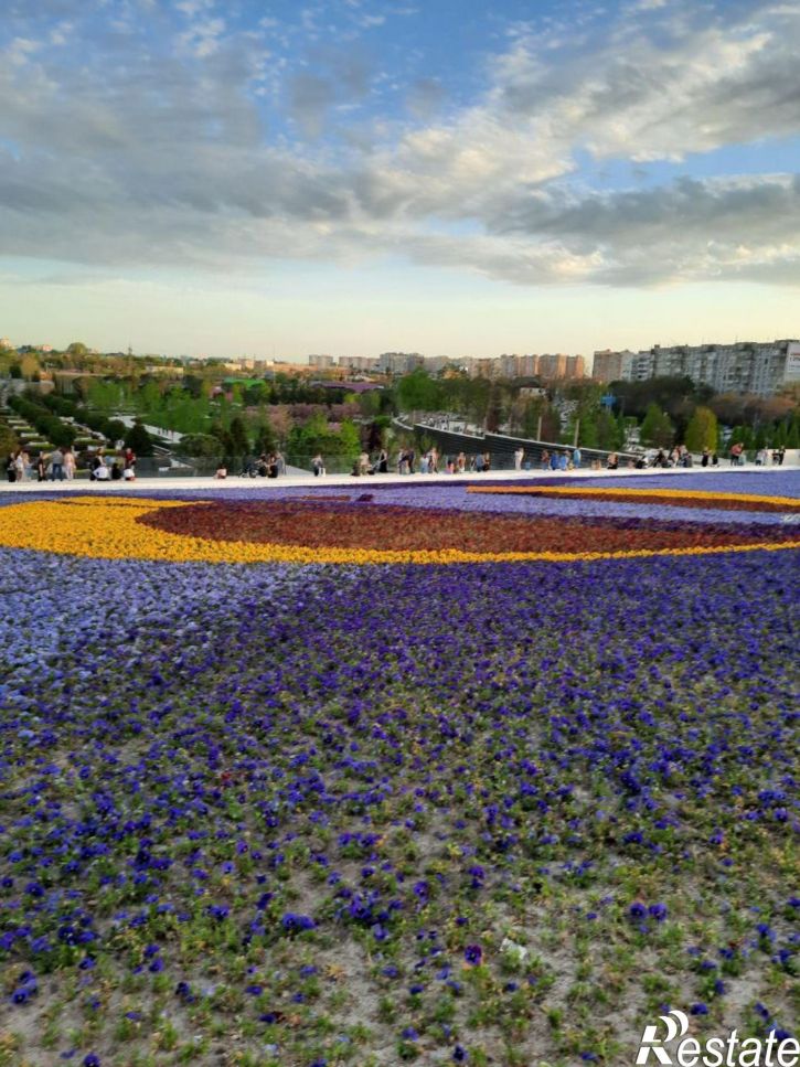 1-комн квартира ул Школьная, 15/2,  д. 15/2