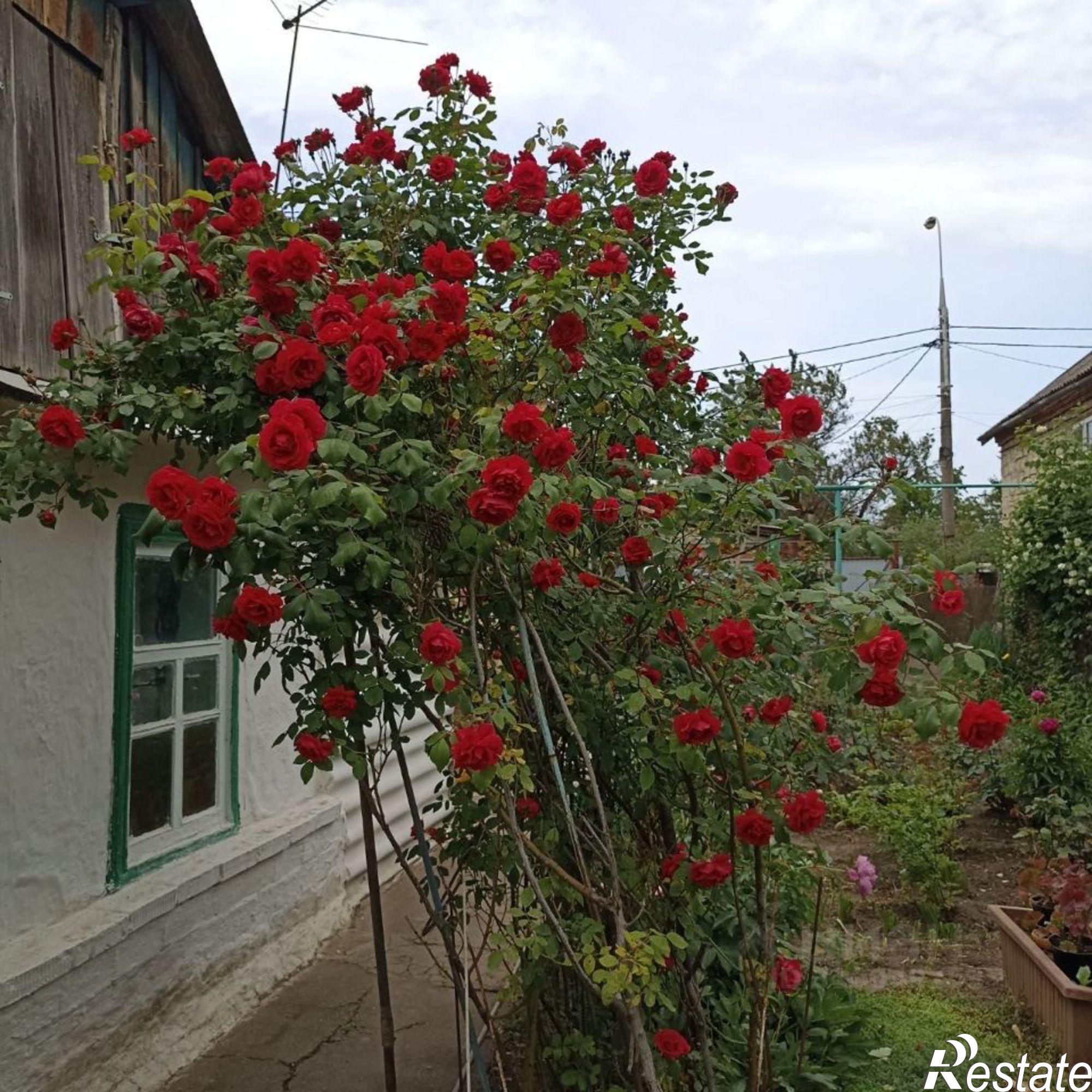 Купить землю, земельный участок за 18 500 000 рублей на ул им. Толбухина, 67