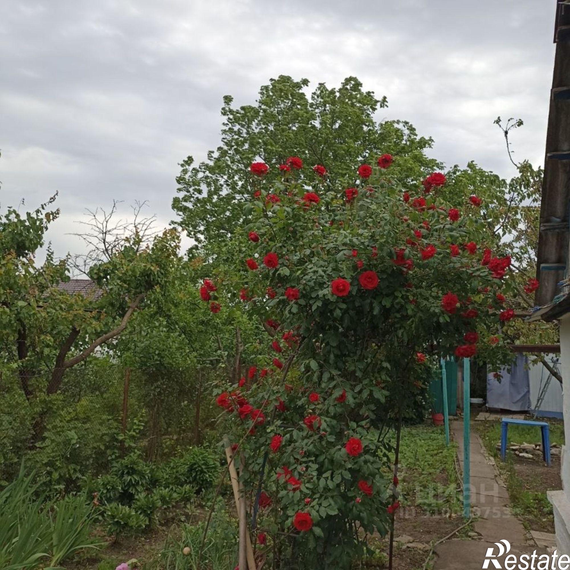 Купить землю, земельный участок за 18 500 000 рублей на ул им. Толбухина, 67