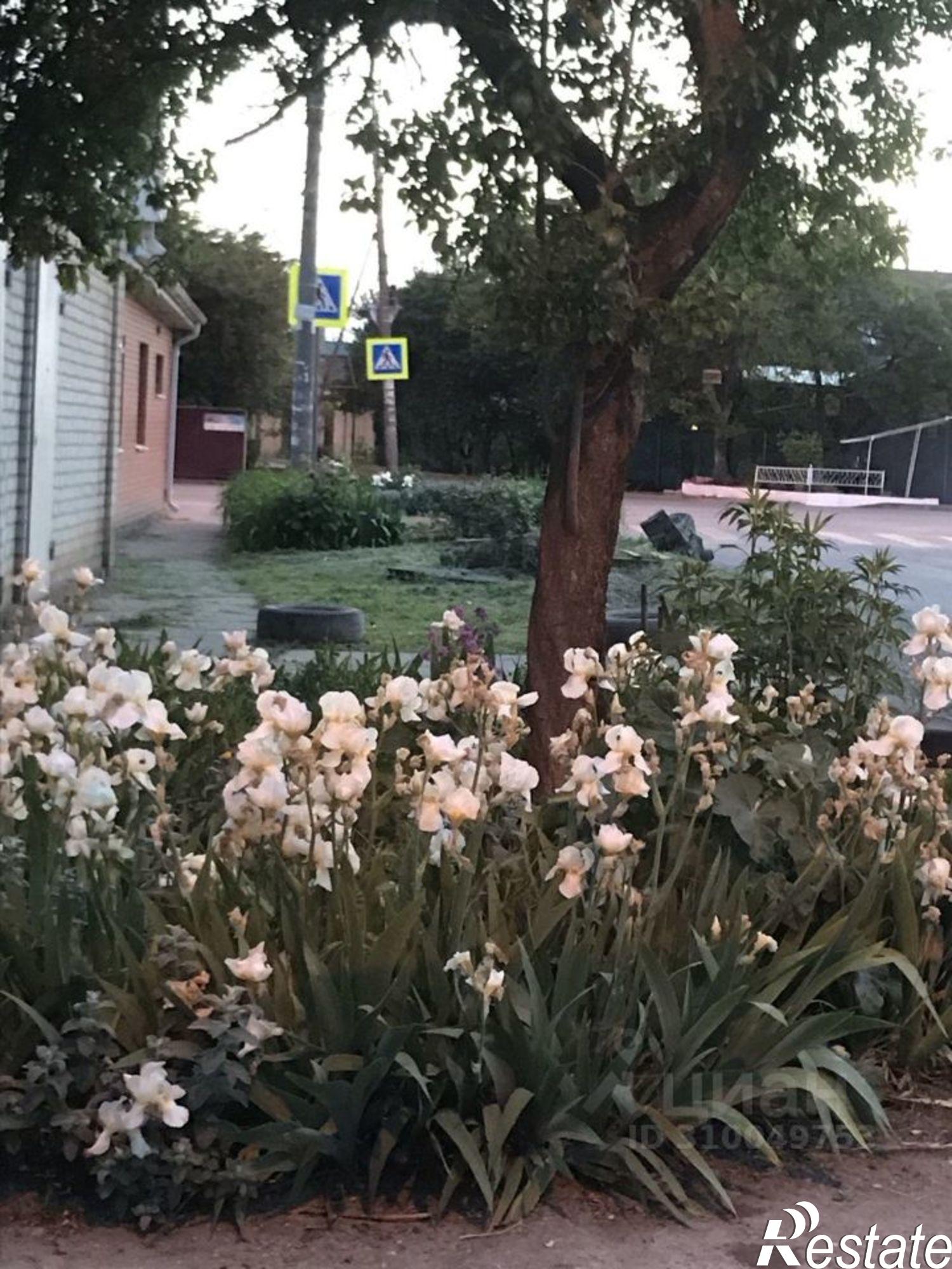 Купить землю, земельный участок за 18 500 000 рублей на ул им. Толбухина, 67