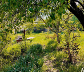 земля 5.53 сот ул Грушевая