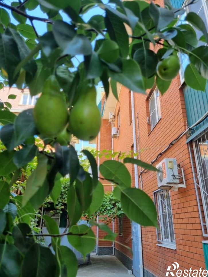 1-комн квартира ул им. Чапаева, 131,  д. 131