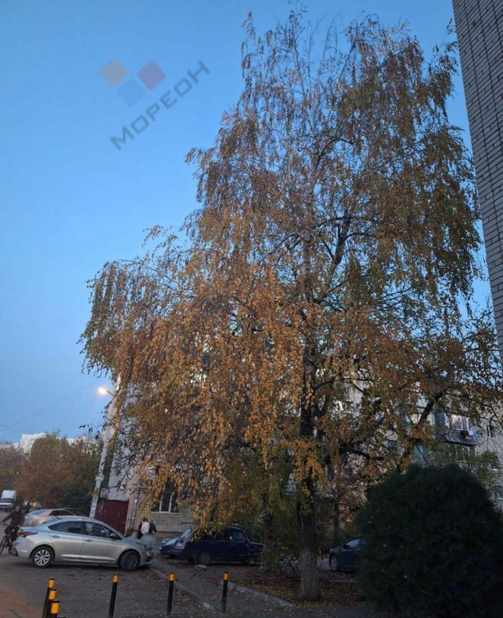 Купить комнату за 2 600 000 рублей на Алтайская ул, 14а