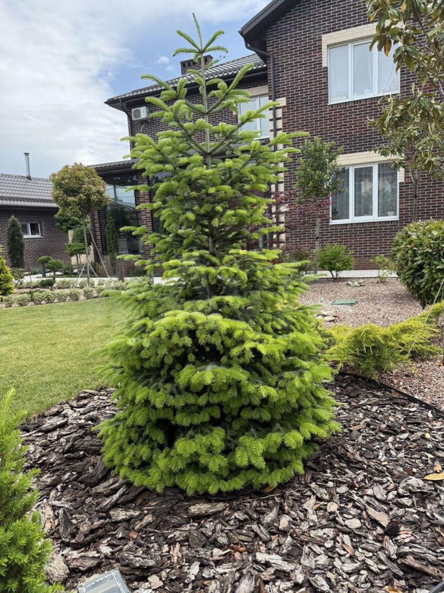 Купить дачу, дом, коттедж за 75 000 000 рублей на Екатериновская ул, 38