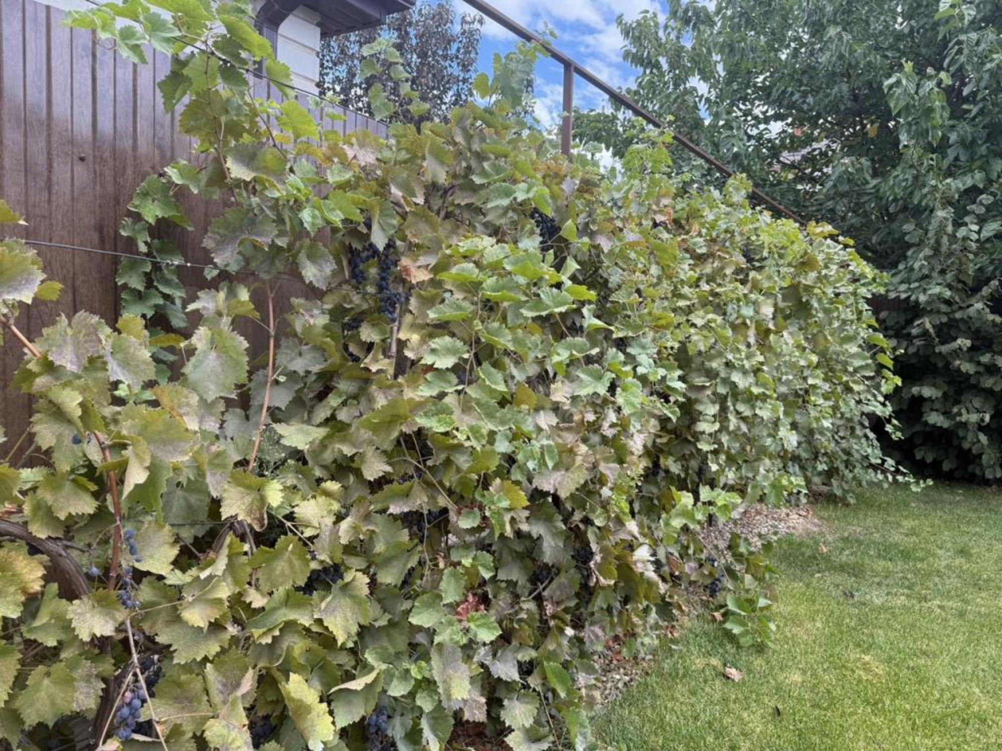 Купить дачу, дом, коттедж за 75 000 000 рублей на Екатериновская ул, 38