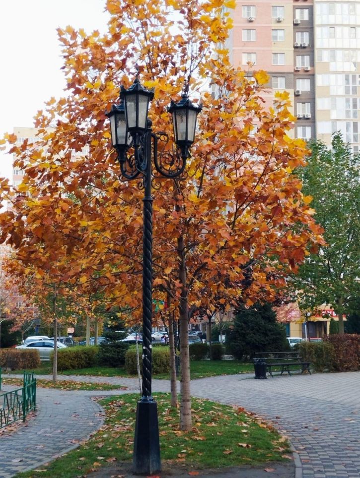 1-комн квартира Боспорская ул, 10