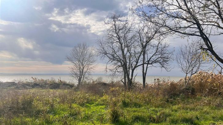 Земельный участок Садовая улица