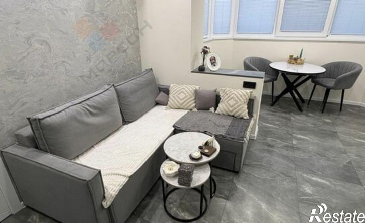 1-комн квартира ул Красных Партизан, 1/4 11,  д. 1/4 11,  к. 11