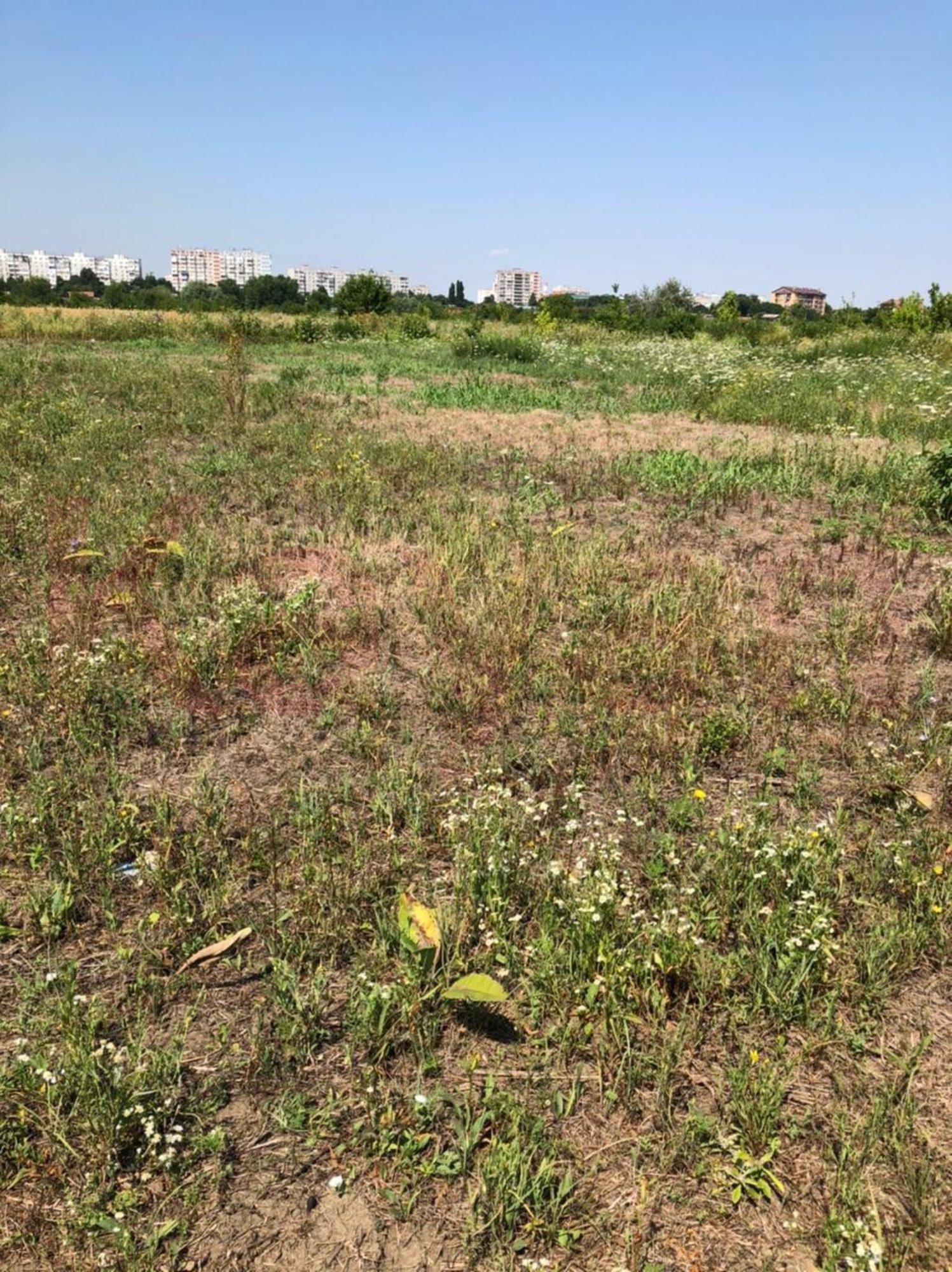 Купить землю, земельный участок за 110 000 000 рублей на Мачуги ул.