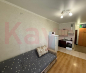 1-комн, 23кв м, этаж 3/19 Душистая ул.