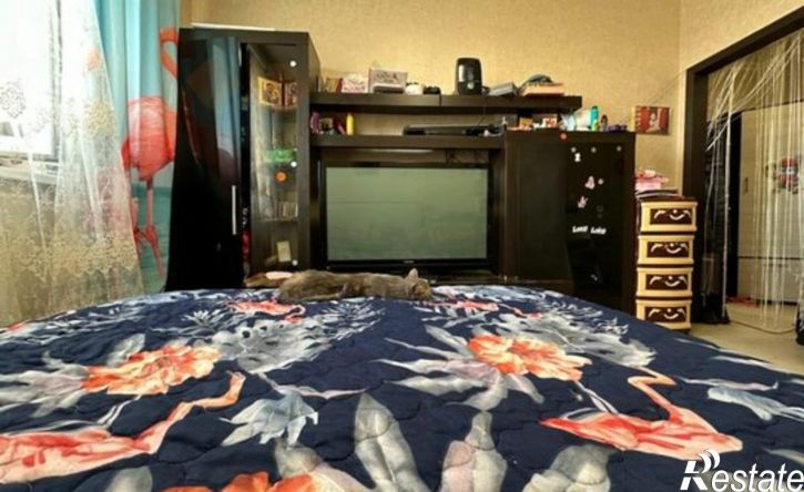 1-комн квартира ул Куликова Поля, 6,  д. 6