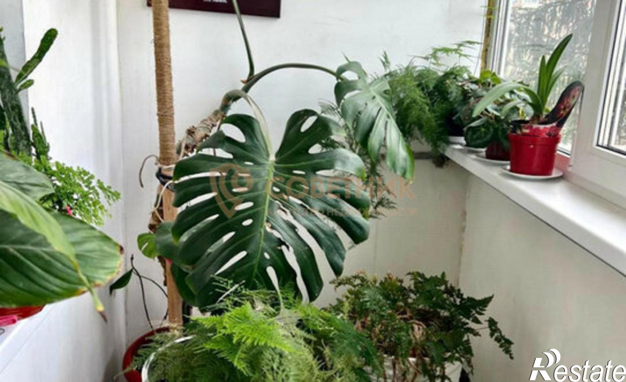 Купить квартиру за 9 300 000 рублей на пр-кт Чекистов, 3/1