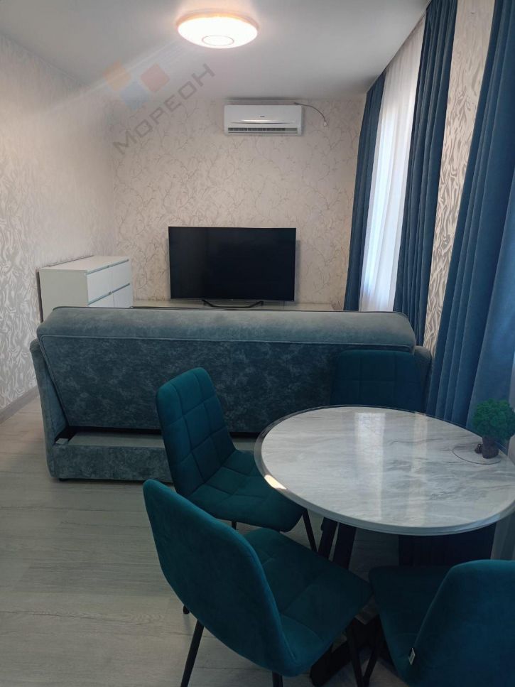 1-комн квартира Валерия Вишневецкого ул, 13/ к2