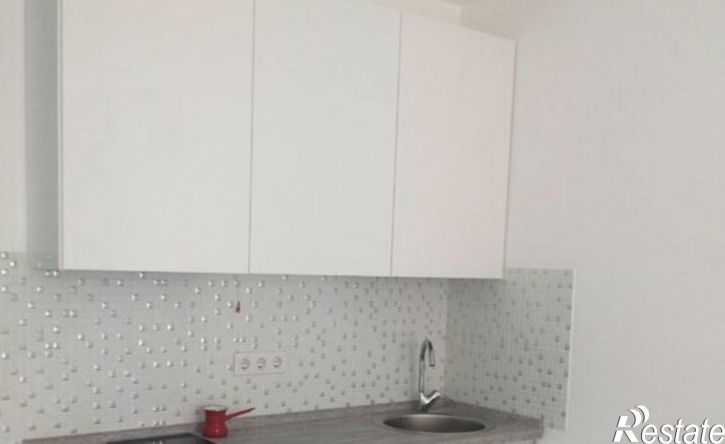 1-комн квартира ул Красных Партизан, 1,  д. 1