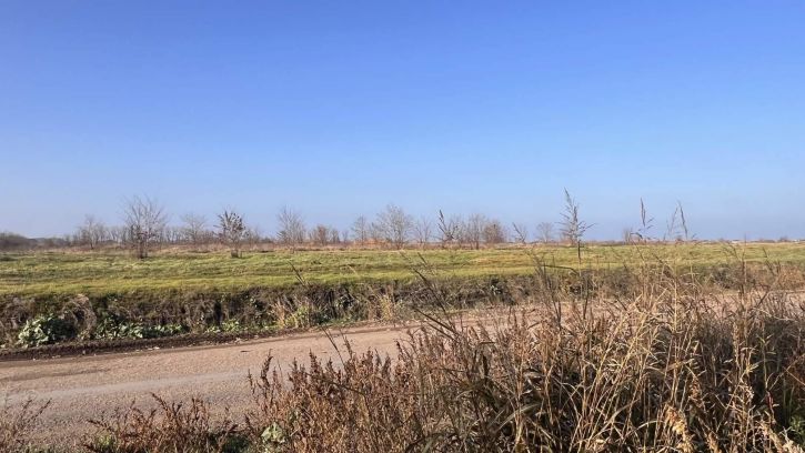 Земельный участок Римский проспект