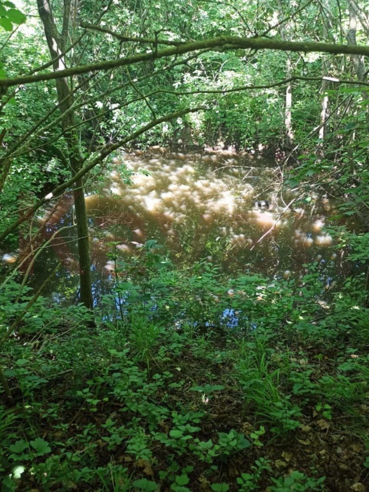 Коттедж/дом Южная ул.