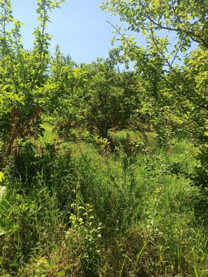 Коттедж/дом Южная ул.