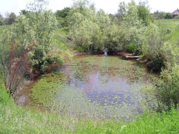 Земельный участок Бездорожная ул.