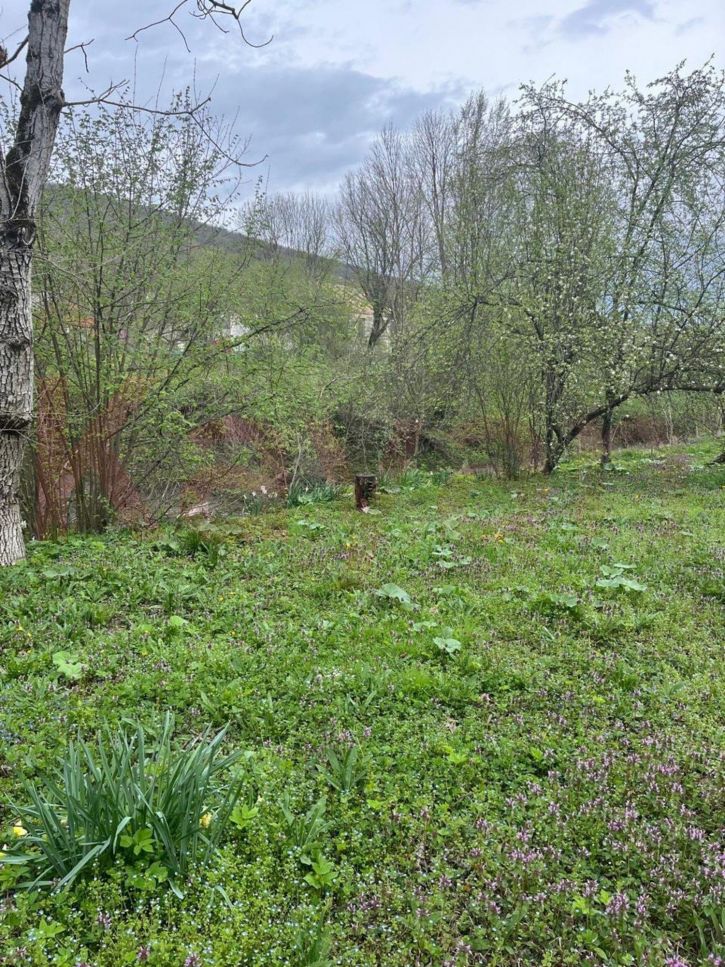 Земельный участок Пушкина ул.