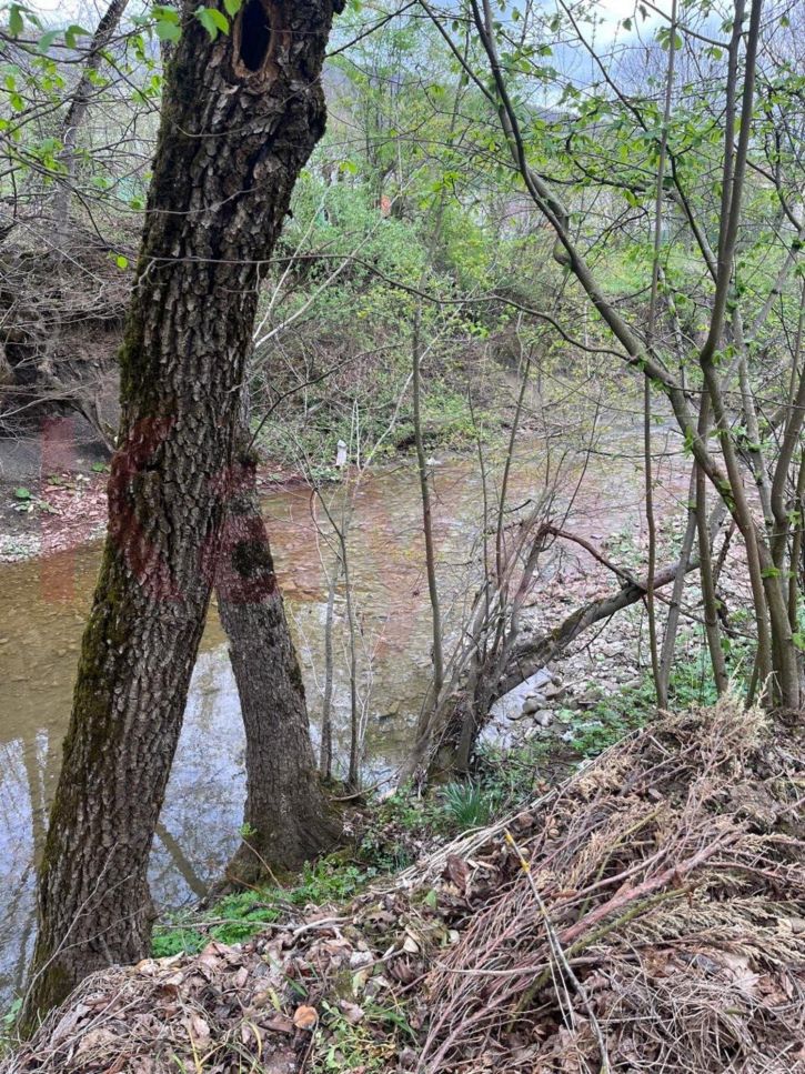 Земельный участок Пушкина ул.