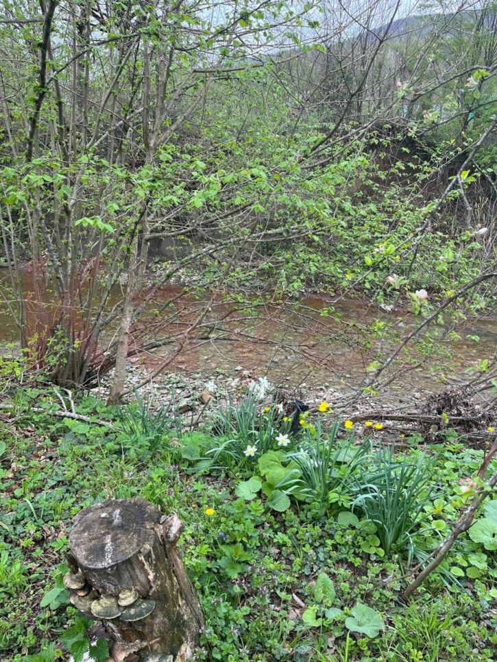 Земельный участок Пушкина ул.