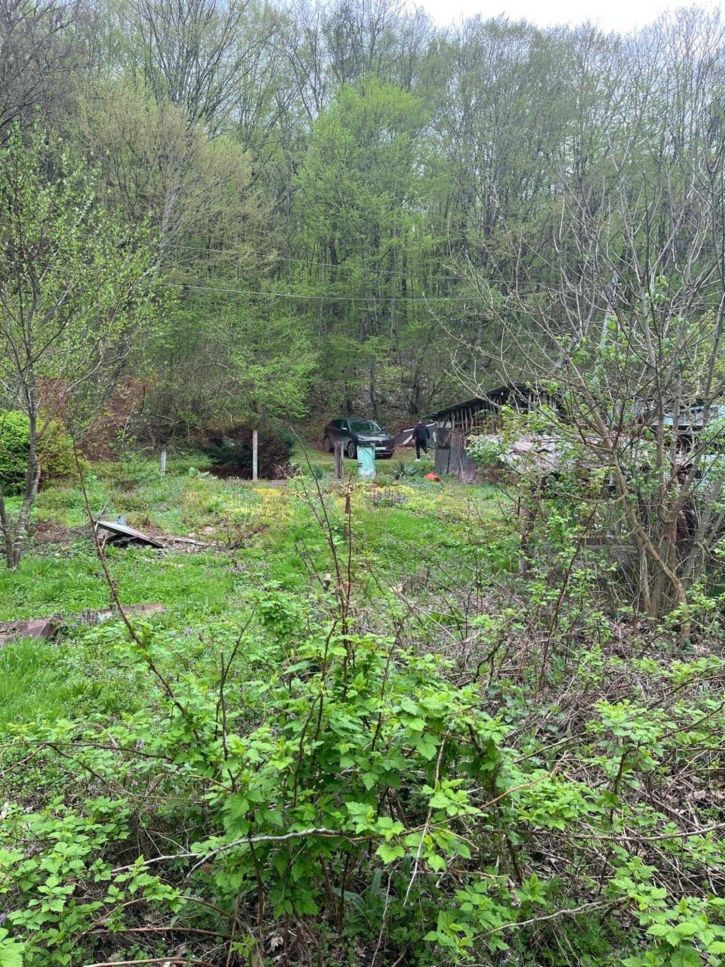 Земельный участок Пушкина ул.