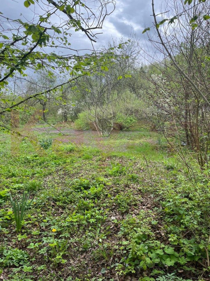 Земельный участок Пушкина ул.