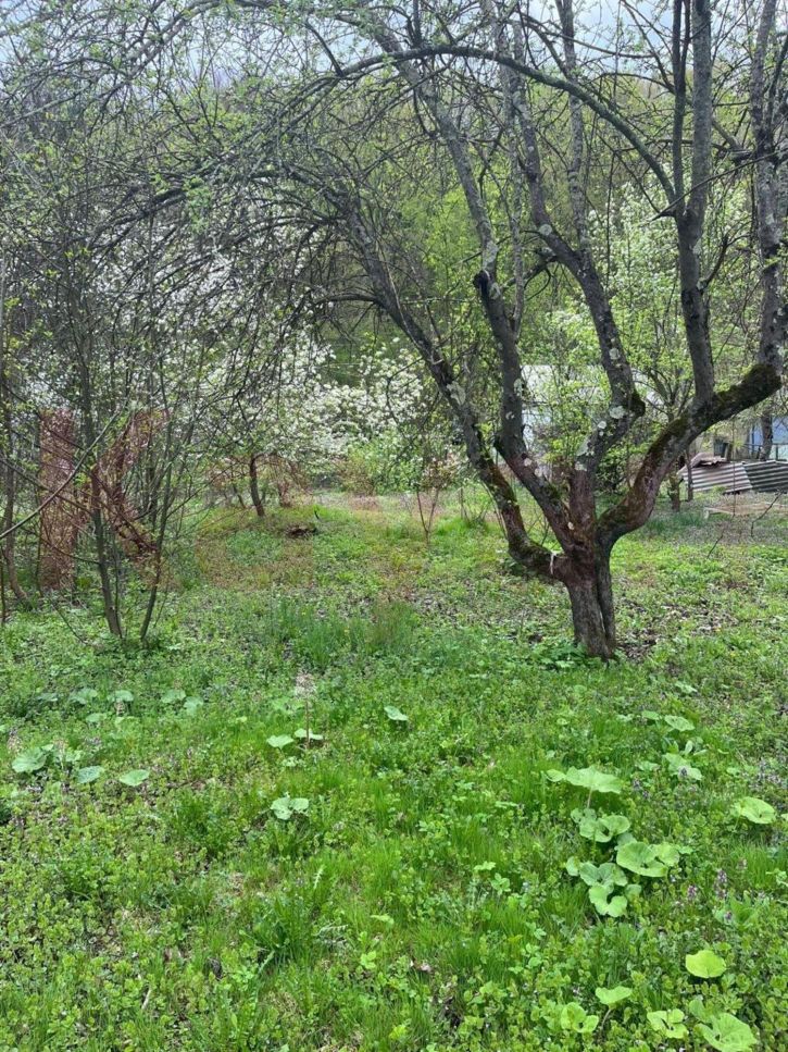 Земельный участок Пушкина ул.