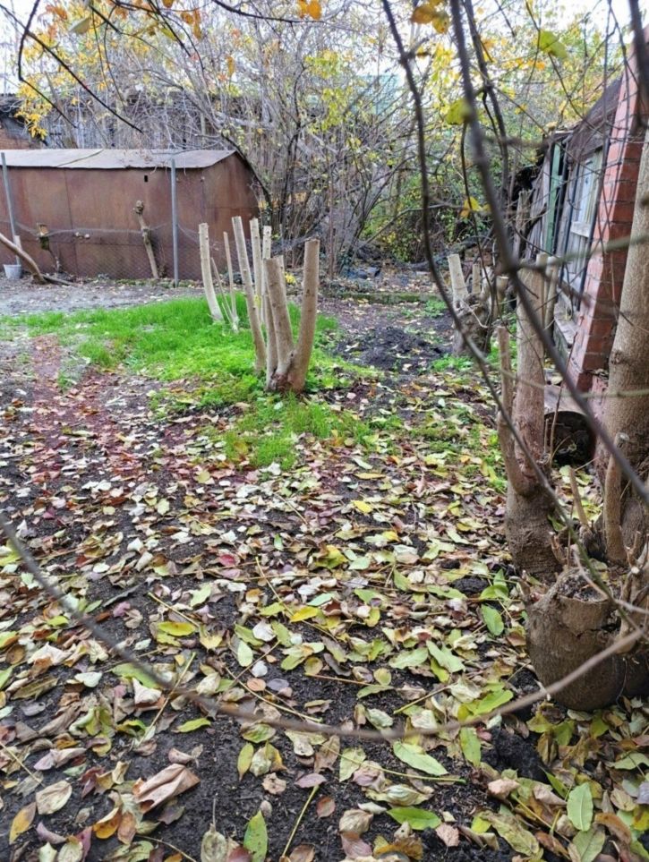 Земельный участок им. Фрунзе ул.