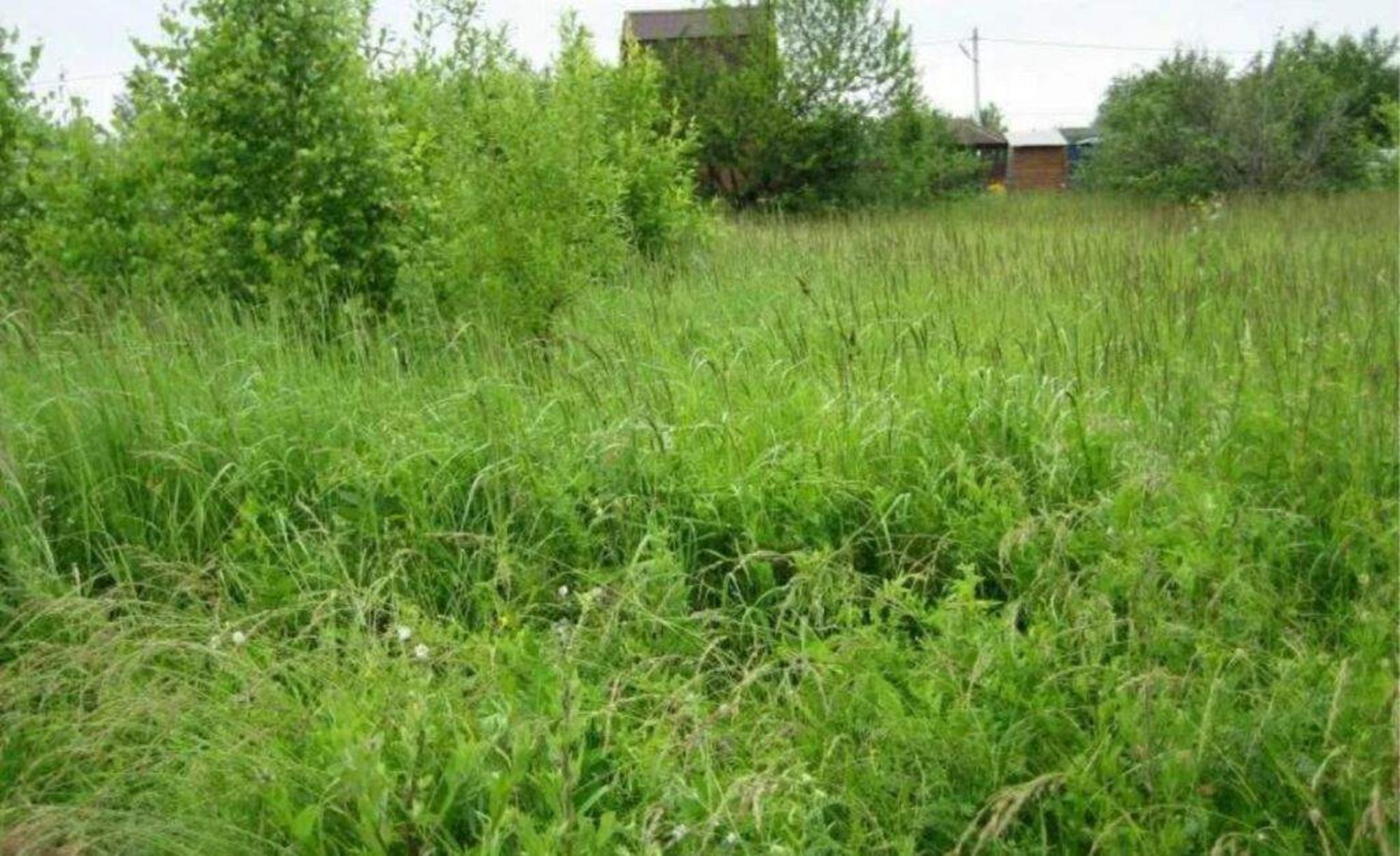 Купить землю, земельный участок за 2 300 000 рублей на Грушевая улица