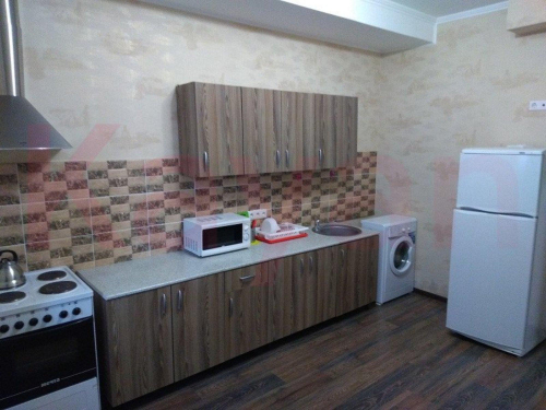Аренда 1-комн квартиры им. Архитектора Петина ул.