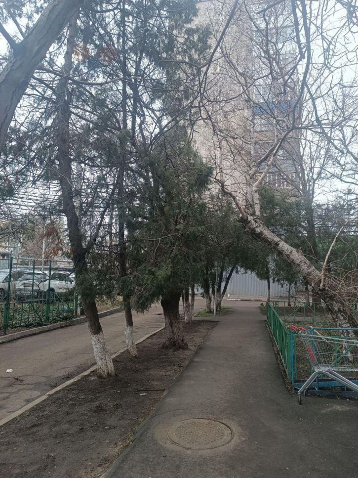 2-комн квартира им. Рылеева ул, 360
