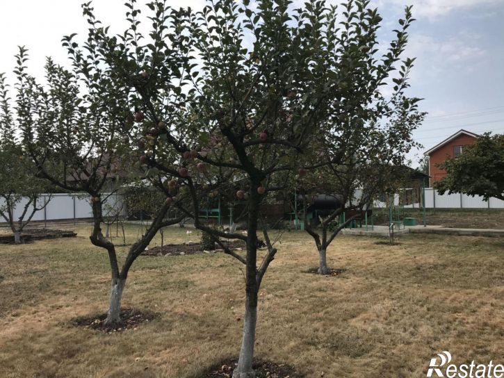 Коттедж/дом ул Малиновая