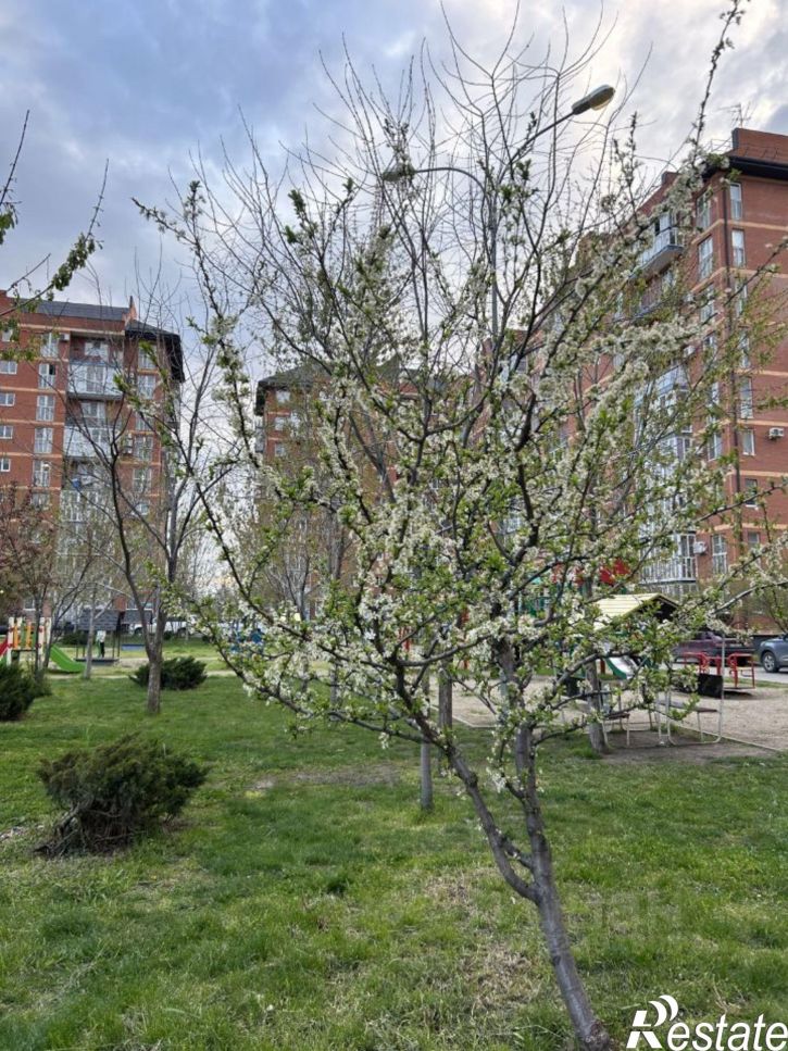 1-комн квартира ул Византийская, 2,  д. 2