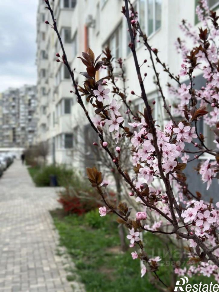 2-комн квартира улица имени Даниила Смоляна, 80,  д. 80