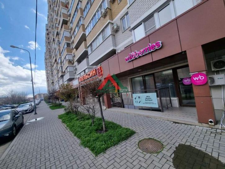 Торговое помещение Московская улица, д.154к1