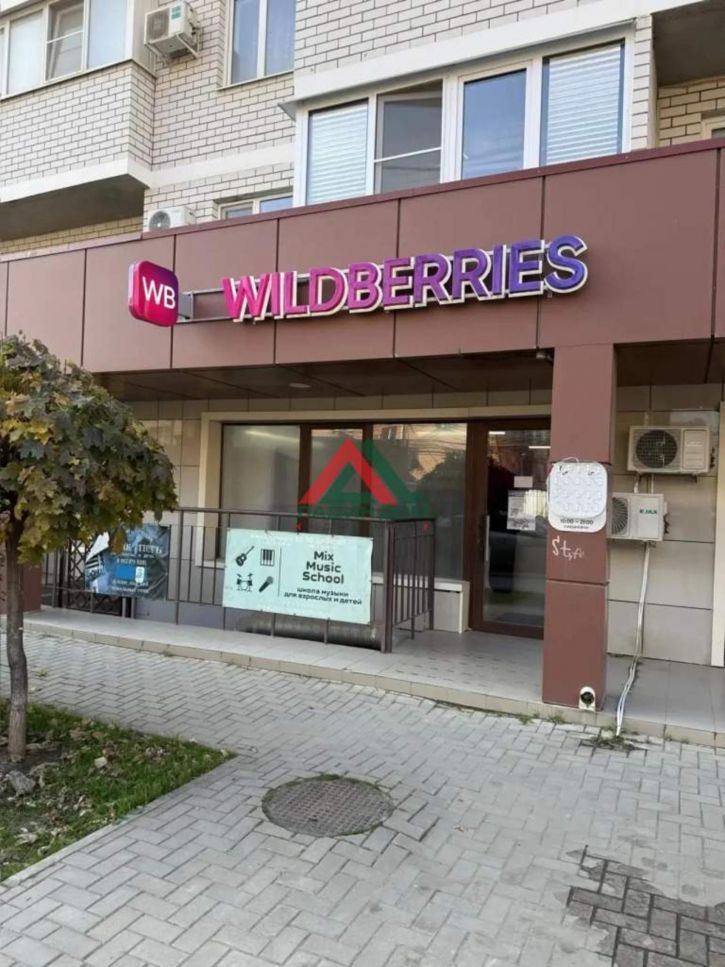 Торговое помещение Московская улица, д.154к1