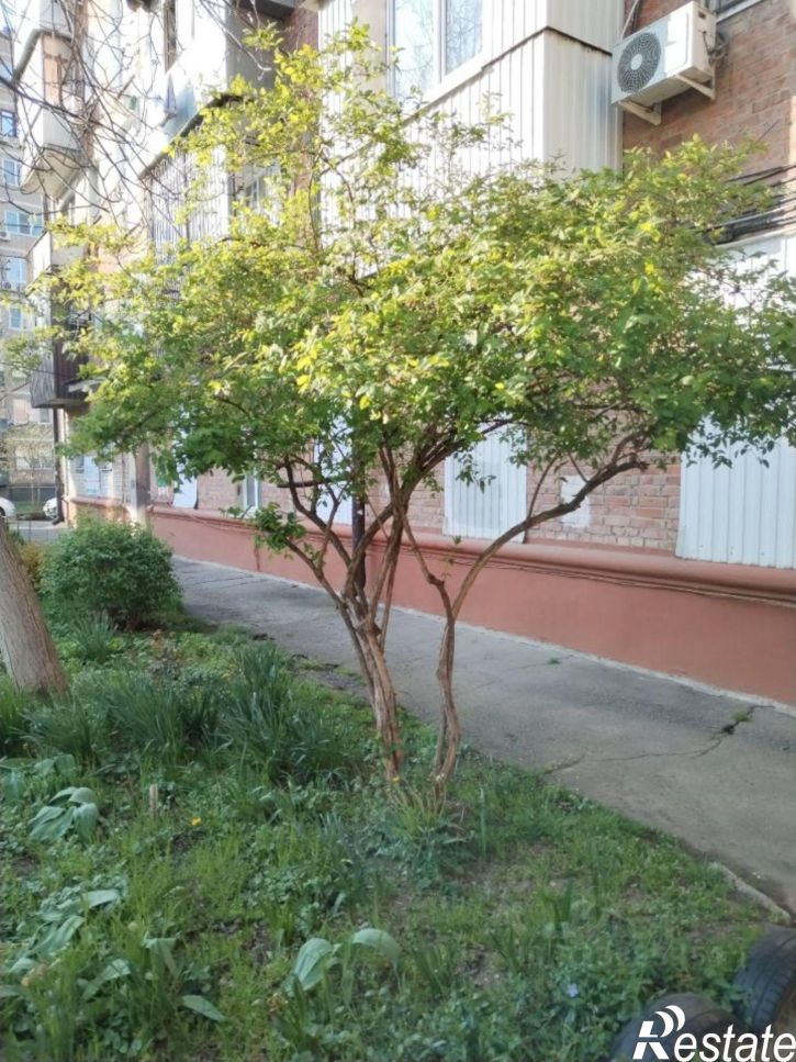1-комн квартира Ставропольская улица, 262,  д. 262