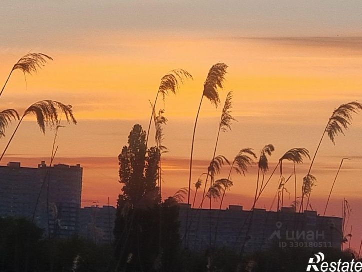 1-комн квартира улица Валерия Гассия, 4/7 к1,  д. 4/7 к1