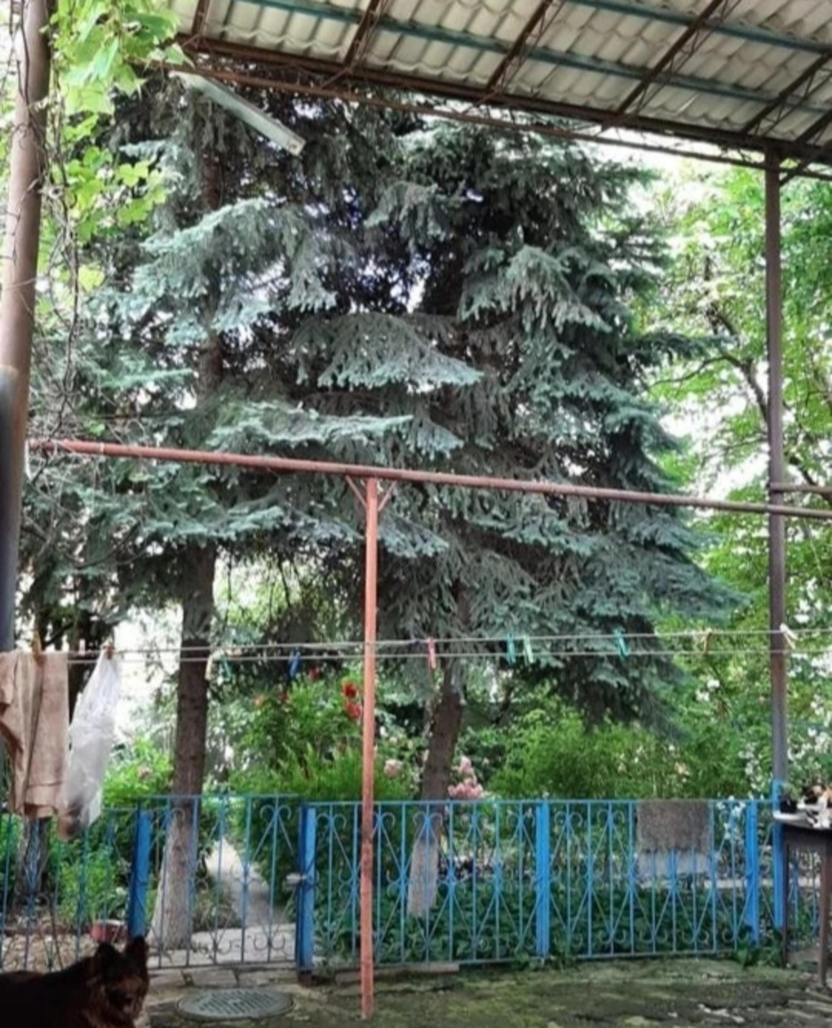 Купить дачу, дом, коттедж за 24 500 000 рублей на улица 1 Мая